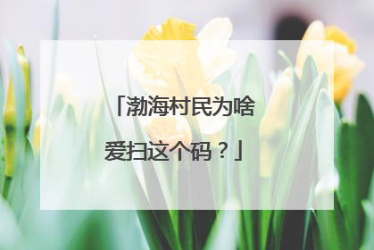 渤海村民为啥爱扫这个码？
