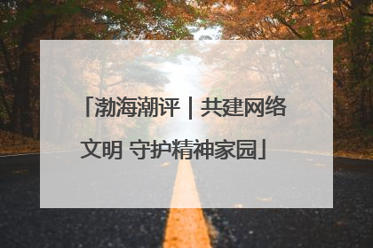 渤海潮评｜共建网络文明 守护精神家园