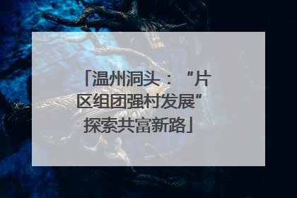 温州洞头：“片区组团强村发展”探索共富新路