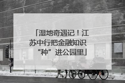 湿地奇遇记！江苏中行把金融知识“种”进公园里
