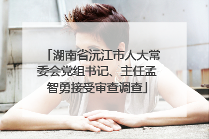 湖南省沅江市人大常委会党组书记、主任孟智勇接受审查调查