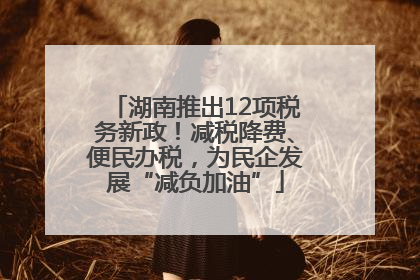 湖南推出12项税务新政！减税降费、便民办税，为民企发展“减负加油”