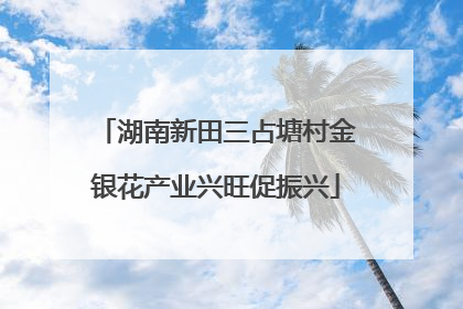 湖南新田三占塘村金银花产业兴旺促振兴
