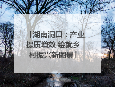 湖南洞口：产业提质增效 绘就乡村振兴新图景