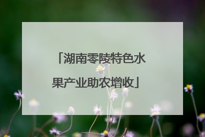 湖南零陵特色水果产业助农增收