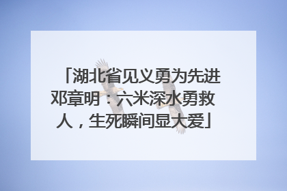 湖北省见义勇为先进邓章明：六米深水勇救人，生死瞬间显大爱