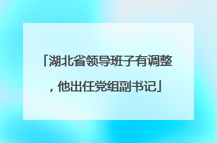 湖北省领导班子有调整，他出任党组副书记