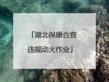 湖北保康合查违规动火作业