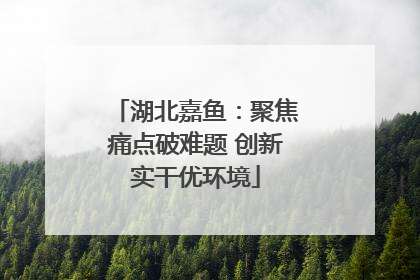 湖北嘉鱼：聚焦痛点破难题 创新实干优环境
