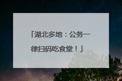 湖北多地：公务一律扫码吃食堂！