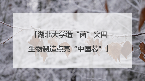 湖北大学造“菌”突围 生物制造点亮“中国芯”