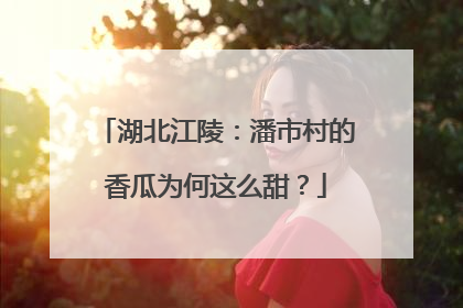湖北江陵：潘市村的香瓜为何这么甜？