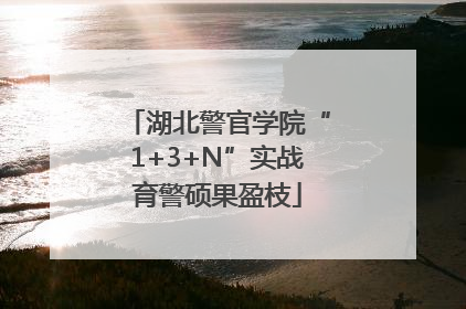 湖北警官学院“1+3+N”实战育警硕果盈枝