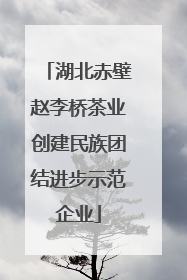 湖北赤壁赵李桥茶业创建民族团结进步示范企业