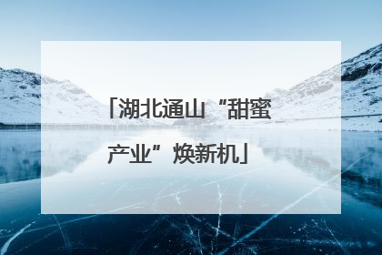 湖北通山“甜蜜产业”焕新机