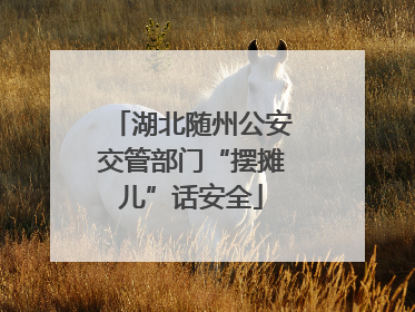 湖北随州公安交管部门“摆摊儿”话安全