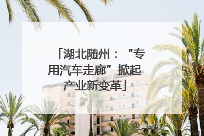 湖北随州：“专用汽车走廊”掀起产业新变革