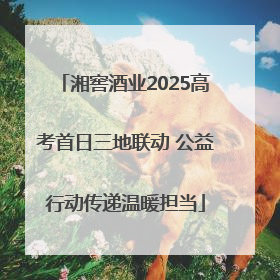 湘窖酒业2025高考首日三地联动 公益行动传递温暖担当