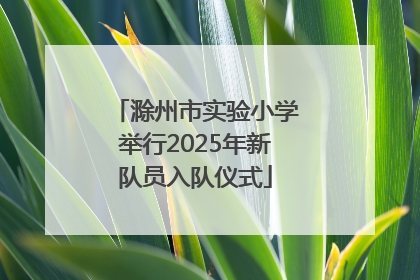 滁州市实验小学举行2025年新队员入队仪式