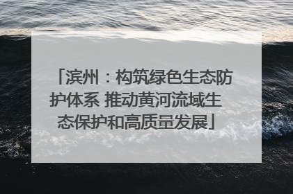 滨州：构筑绿色生态防护体系 推动黄河流域生态保护和高质量发展