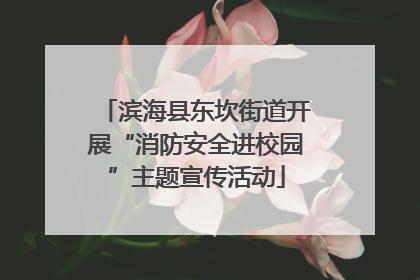滨海县东坎街道开展“消防安全进校园”主题宣传活动