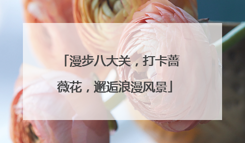 漫步八大关，打卡蔷薇花，邂逅浪漫风景