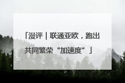 漫评｜联通亚欧，跑出共同繁荣“加速度”