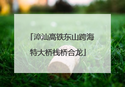 漳汕高铁东山跨海特大桥栈桥合龙