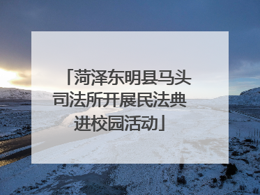 菏泽东明县马头司法所开展民法典进校园活动