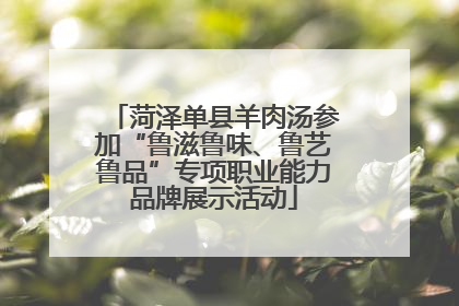 菏泽单县羊肉汤参加“鲁滋鲁味、鲁艺鲁品”专项职业能力品牌展示活动