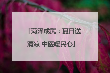 菏泽成武：夏日送清凉 中医暖民心