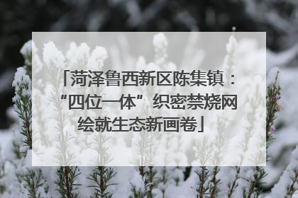 菏泽鲁西新区陈集镇：“四位一体”织密禁烧网 绘就生态新画卷