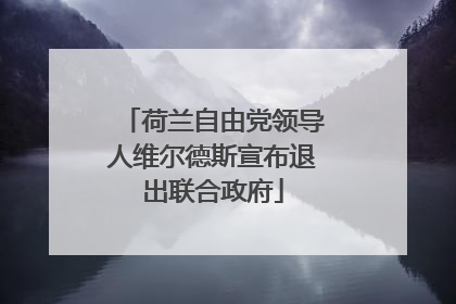 荷兰自由党领导人维尔德斯宣布退出联合政府