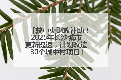 获中央财政补助！2025年长沙城市更新提速，计划改造30个城中村项目