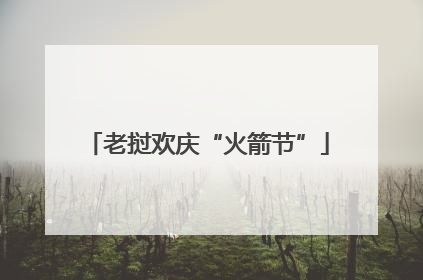 老挝欢庆“火箭节”