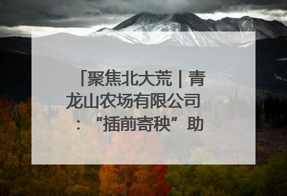 聚焦北大荒｜青龙山农场有限公司：“插前寄秧”助力农业节本增效