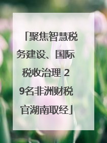 聚焦智慧税务建设、国际税收治理 29名非洲财税官湖南取经