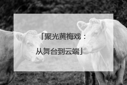 聚光黄梅戏：从舞台到云端