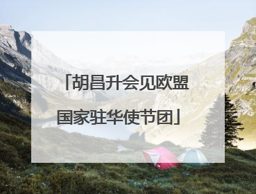 胡昌升会见欧盟国家驻华使节团