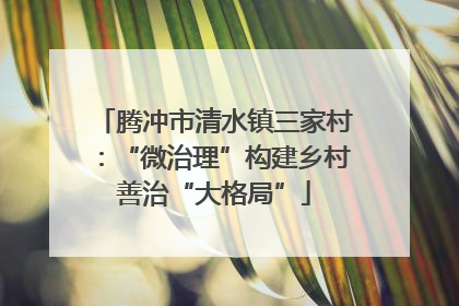 腾冲市清水镇三家村：“微治理”构建乡村善治“大格局”
