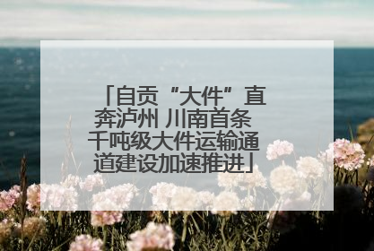 自贡“大件”直奔泸州 川南首条千吨级大件运输通道建设加速推进