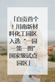 自贡首个！川南新材料化工园区入选“一园一策一图”国家级试点园区