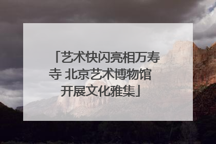 艺术快闪亮相万寿寺 北京艺术博物馆开展文化雅集