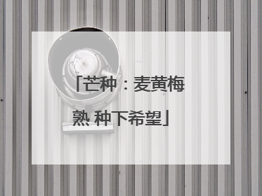 芒种：麦黄梅熟 种下希望