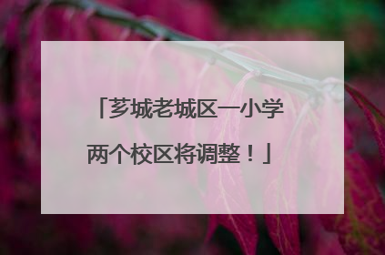 芗城老城区一小学两个校区将调整！