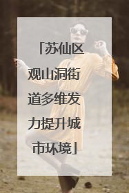 苏仙区观山洞街道多维发力提升城市环境