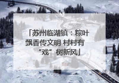 苏州临湖镇：粽叶飘香传文明 村村有“戏”树新风