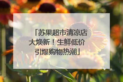 苏果超市清凉店大焕新！生鲜低价引爆购物热潮