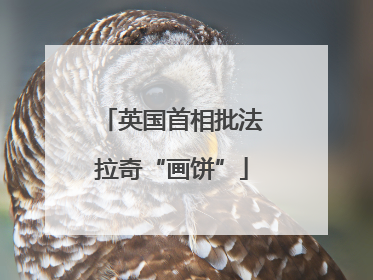 英国首相批法拉奇“画饼”