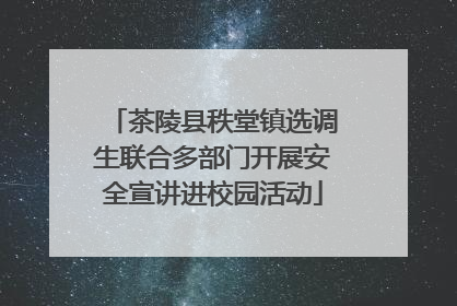 茶陵县秩堂镇选调生联合多部门开展安全宣讲进校园活动